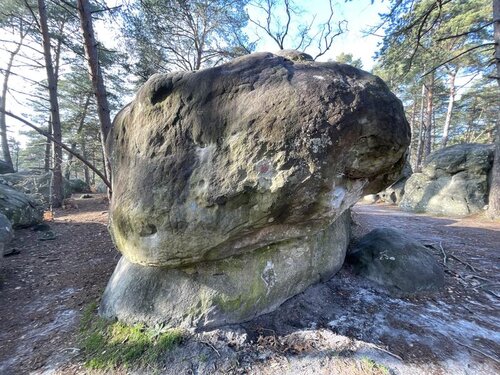 Image of Basic Instinct